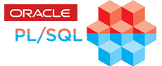 1Z0-146 - Oracle Database 11g: Advanced PL/SQL