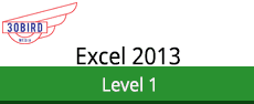 77-420-L1-30bird - Excel 2013 Level 1