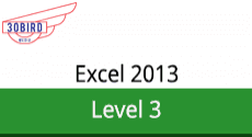77-420-L3-30bird - Excel 2013 Level 3