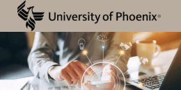 BSA-510 - CISA Domain 2-Governance and Management of IT image