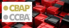 CBAP-CCBA-old - CBAP / CCBA Certified Business Analysis