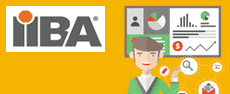 CBAP-old - Certified Business Analysis Professional