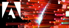 FlashCS6 - Adobe Flash CS6