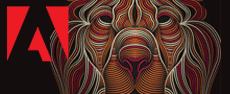ILCS6 - Adobe  Illustrator CS6