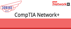 N10-006-30bird - Network+