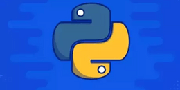 IT Specialist Python