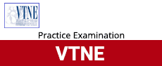 VTNE - VTNE Online Practice Examination