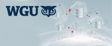 WGU-1Z0-062 - Oracle Database 12c: Installation and Administration