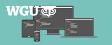 WGU-1Z0-808-v2-practice - OCP: Java SE 8 Programmer I Practice Test