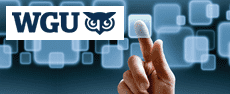 WGU-C179 - Business of IT - Applications