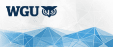 WGU-C725 - Information Security and Assurance image