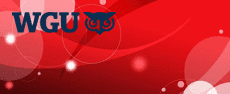 WGU-C726 - Cybersecurity Architecture and Engineering image