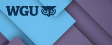 WGU-C727 - Cybersecurity Management I - Strategic image