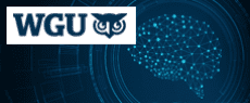 WGU-C951 - C951 - Introduction to Artificial Intelligence image