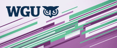 WGU-C995 - SQL for Data Analysis image