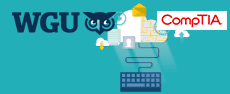 WGU-CLO-001-complete - Cloud Foundations (Course & Lab)