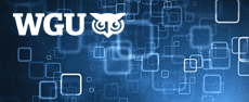 WGU-EX0-101 - ITIL Foundation