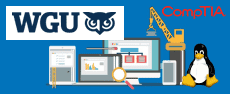 WGU-LX0-103-complete - Linux+ Powered by LPI - Exam 1 (Course & Lab)