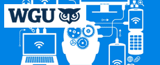 WGU-software-engg - Beginning Software Engineering
