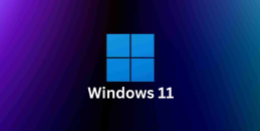 Windows 11 Inside OUT
