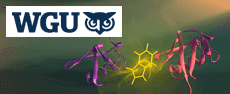 bio-chem - WGU-Biochemistry