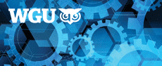 dmaa-assessment - WGU Database Assessment