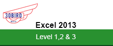 77-420-30Bird-All - Excel 2013 Complete