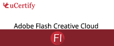 flash-cc-assessment - Adobe Flash Creative Cloud Assessment