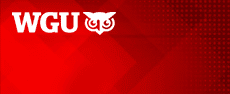 jbl-info-security - Legal Issues in Information Security