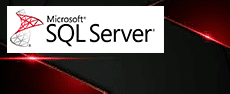  - Microsoft SQL Server