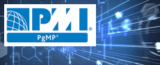 PMI Program Management Professional Certification