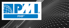 PMI Project Management Professional Certification