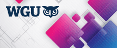 WGU-CCSP - Managing Cloud Security