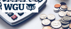 WGU-C928 - Financial Management for IT Professionals image