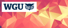 WGU-mc-tech-ops - Information Technology Management image