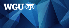 WGU-ps-tech-comm - Technical Communication image